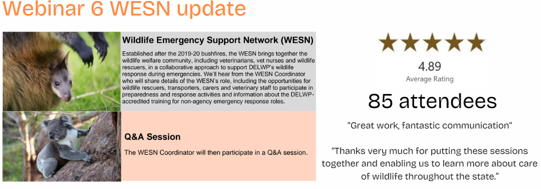 Webinar 6 WESN update  Wildlife Emergency Support Network (WESN) Established after the 2019-20 bushfires, the WESN brings together the  wildlife welfare community, including veterinarians, vet nurses and wildlife  rescuers, in a collaborative approach to support DELWP’s wildlife  response during emergencies. We’ll hear from the WESN Coordinator  who will share details of the WESN’s role, including the opportunities for  wildlife rescuers, transporters, carers and veterinary staff to participate in  preparedness and response activities and information about the DELWPaccredited training for non-agency emergency response roles. Q&A Session The WESN Coordinator will then participate in a Q&A session. 4.89 star rating, 85 attendees, “Great work, fantastic communication“  “Thanks very much for putting these sessions together and enabling us to learn more about care of wildlife throughout the state.”