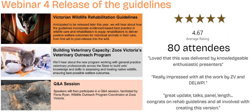 Webinar 4 The release of the Guidelines Victorian Wildlife Rehabilitation Guidelines Anticipated to be released later this year, we will hear about how  the guidelines incorporate evidenced-based best practice in  wildlife care and rehabilitation to equip rehabilitators to deliver  positive welfare outcomes for individual animals in their care,  from first aid to post-release into the wild. Images: Zoos Victoria, Amie Hindson; IFAW; Doug Gimesy Building Veterinary Capacity: Zoos Victoria’s  Veterinary Outreach Program We’ll hear about the new program working with general practice  veterinary professionals across the State to build vets’ knowledge and skills in assessing and treating native wildlife, ensuring best-possible welfare outcomes. Q&A Session Speakers will then participate in a Q&A session, facilitated by  Fiona Ryan, Wildlife Outreach Program Coordinator at Zoos Victoria. 4.67 star rating, 80 attendees, “Loved that this was delivered by knowledgeable enthusiastic presenters”  “Really impressed with all the work by ZV and DELWP! ”  “great update, talks, panel, length... congrats on rehab guidelines and all involved with creating this version.”