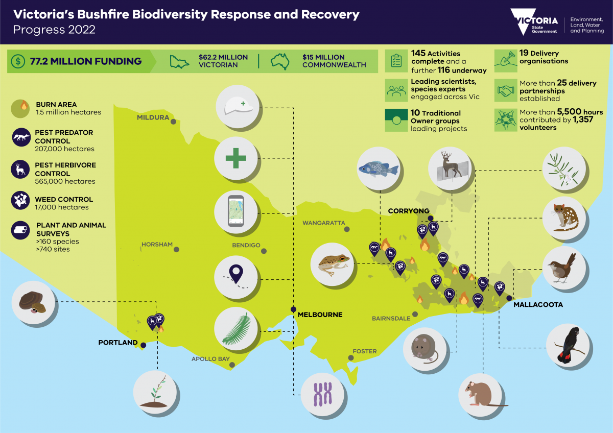 Infographic describing progress of the Bushfire Biodiversity Response and Recovery program as of 2022