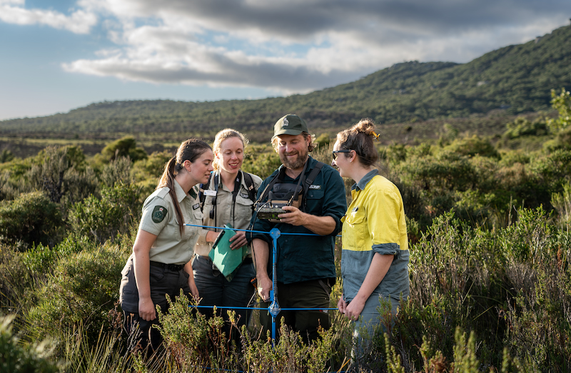 DELWP monitoring the birds using radio-tracking, triangulation techniques and automated sound recorders