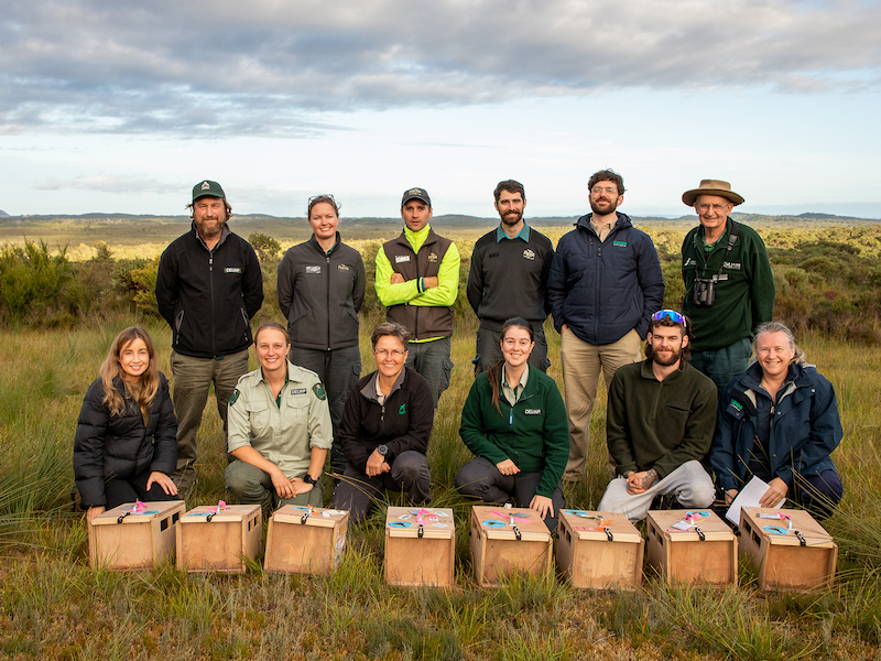 The cross-jurisdictional team, led by DELWP, celebrate the success of a delicate translocation process at Wilsons Promontory National Park