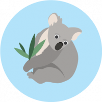 Koala