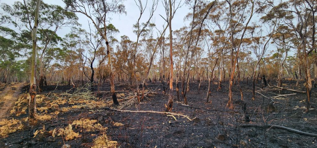 Budj Bim National Park fire