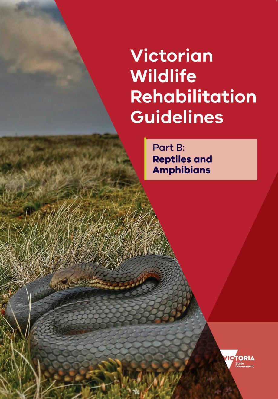 snake on the cover of Victorian Wildlife Rehabilitation Guidelines 