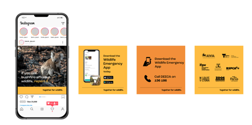 Image showing social media tiles for wildlife welfare. Tile 1. "If you see bushfire affected wildlife report it, slide 2 Download the wildlife emergency app, slide 3 Download the Wildlife emergency app or call DEECA on 136 186, slide 4 the together for wildlife banner 
