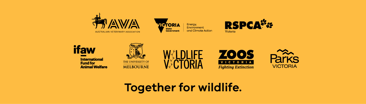 An orange banner with Together for Wildlife organisations including Zoos Victoria, Wildlife Victoria, RSCPA Victoria, Parks Victoria, University of Melbourne, International Fund for Animal Welfare and Australian Veterinary Association.